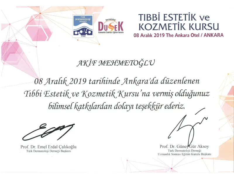 Akif Mehmetoglu Aesthetics Course Certificate