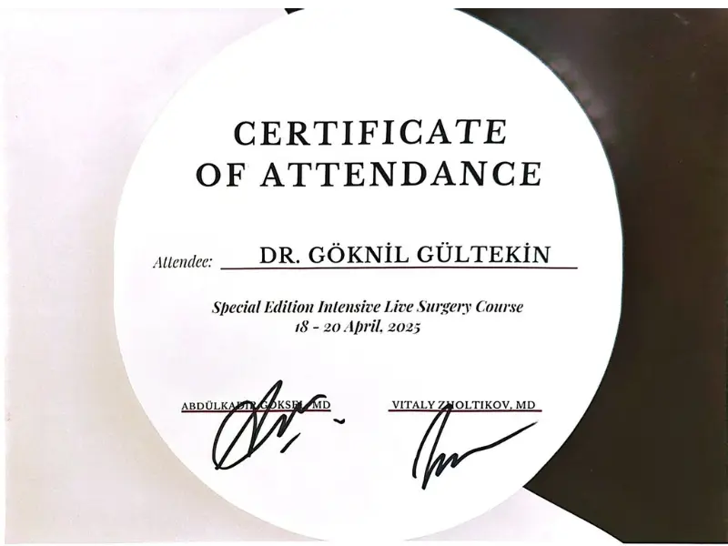 goknil gultekin course attendance certificate