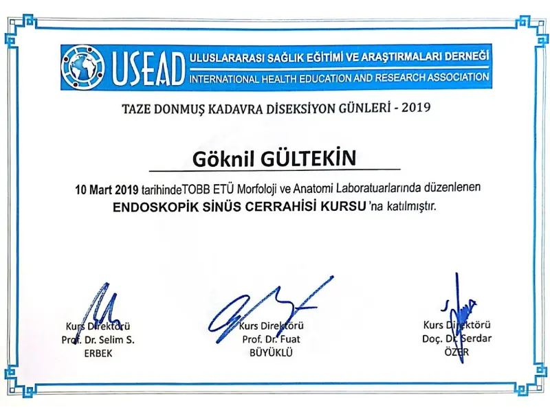 goknil gultekin course certificate