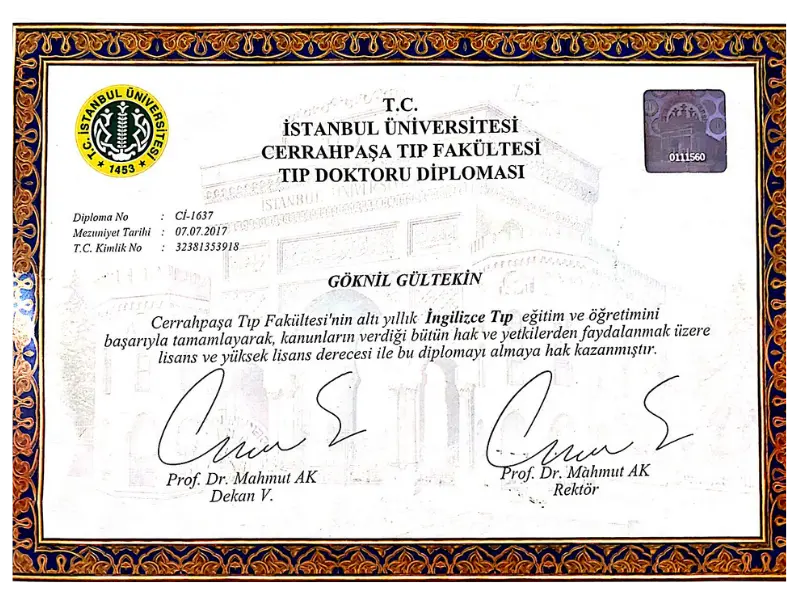 goknil gultekin doctor diploma