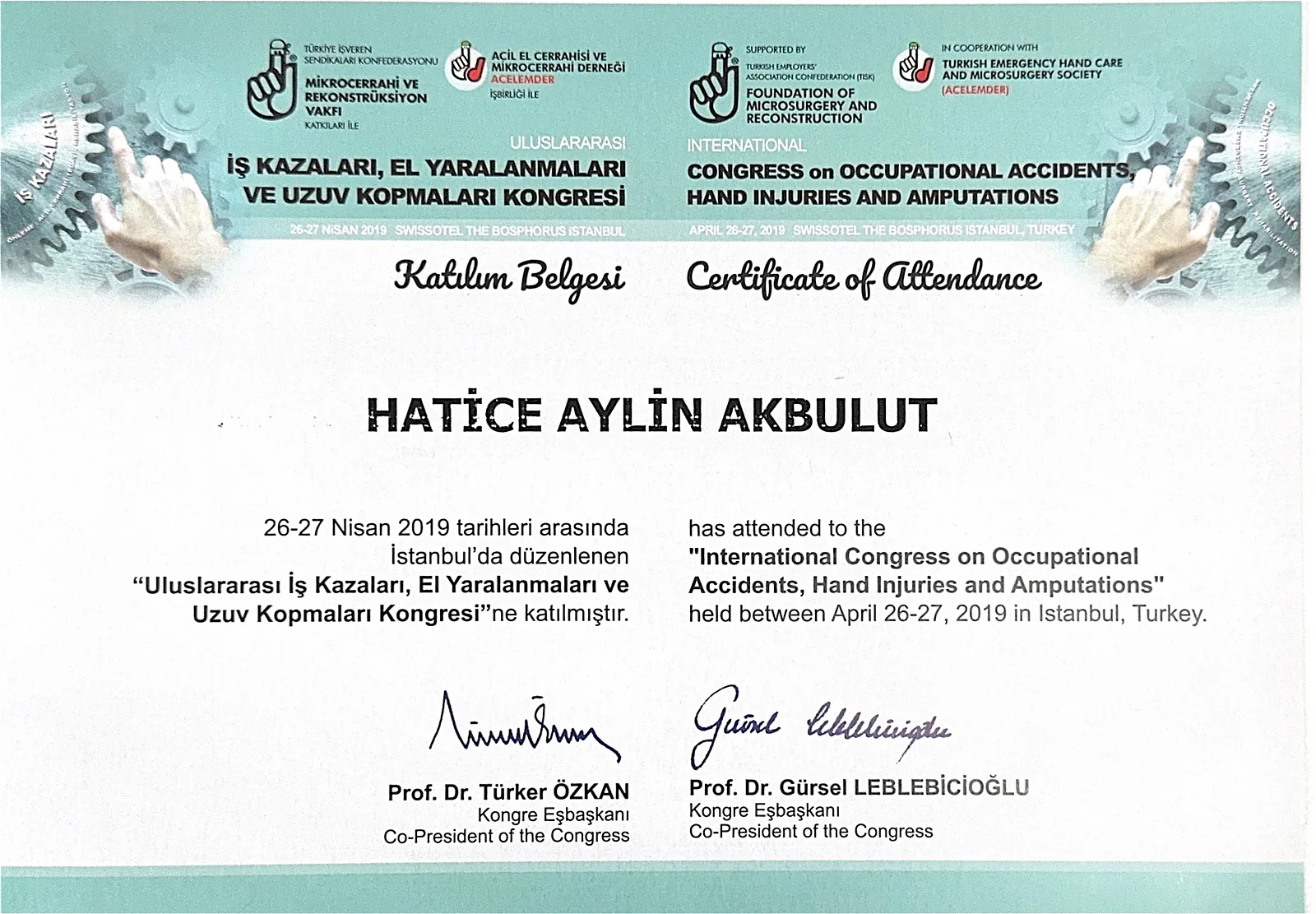 International Congress on Occupational Accidents and Hand Injuries certificate, Dr. Aylin Akbulut Yılmaz
